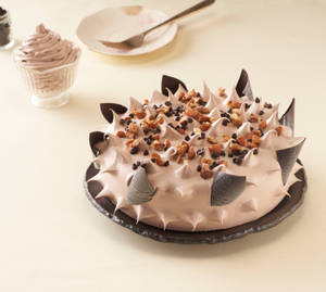 Chocolate Crunch Cake