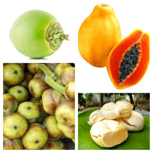Tender Coconut Papaya Within Nungu (Large)