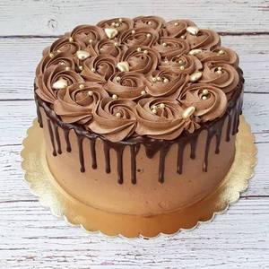 Chocolate Rossetto Drooping