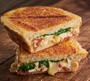 Chicken Cheese Grilled Sandwich  