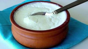 Dahi Plain