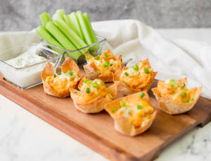 Chicken Fried Wonton