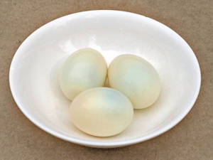 Boiled Egg