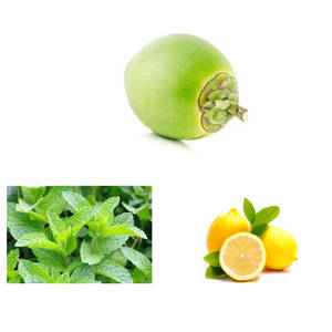Tender Coconut Mint Lime Juice (Large)