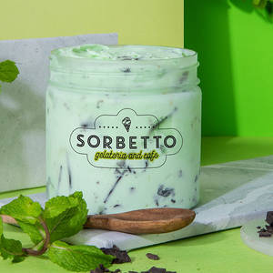 Mint Choco Chip Ice Cream Gelato 200 ML