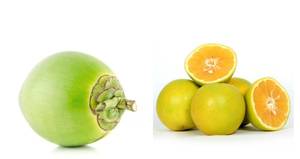 Tender Coconut Sweet Lime Juice (750 ml)