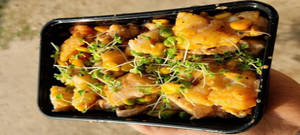 Fish Chicken Salad