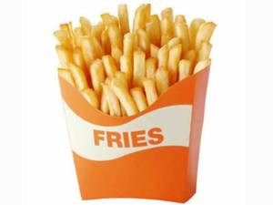 Plain Salty Fries