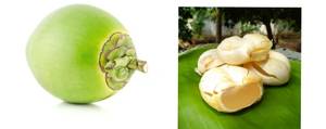 Tender Coconut Nungu  Juice (1 Litre)
