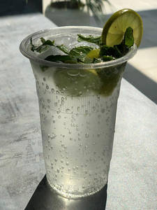 Mojito Mint