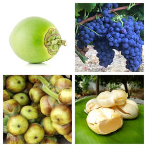 Tender Coconut Grapes Within Nungu (Large)