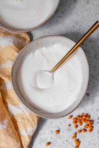 Plain Dahi