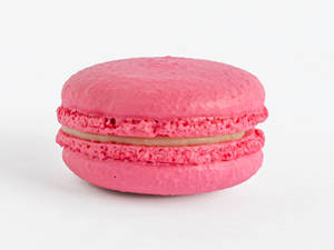 Vanilla Cream Macaron