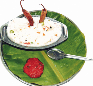 Curd Rice