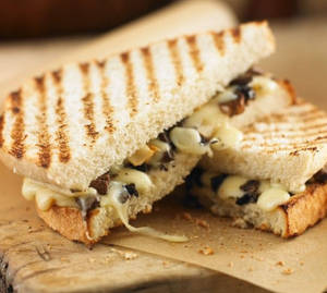 Cheese Mushroom Sandwitch