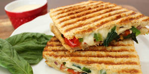 Chilli Cheese Sandwich