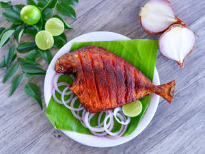 Pomfret Fry