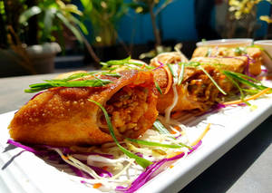 Veg Spring Roll