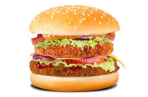 Double Decker Cheese Burger 