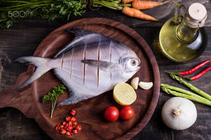 White Pomfret ( 1 Nos )