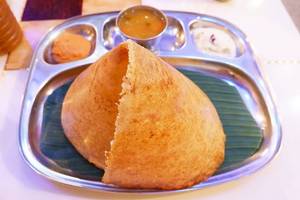 Plain Dhosa