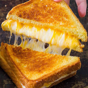 Cheese Sandwich