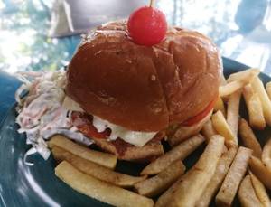 Veg Cheese Burger