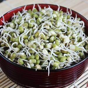 Sprouts Bowl