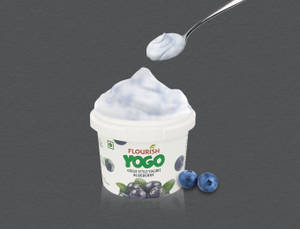 Blueberry Yogurt (90 gms)