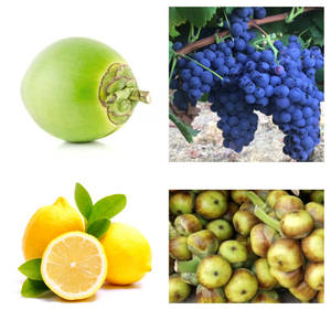 Tender Coconut Grape Lime Within  Nungu (Large)