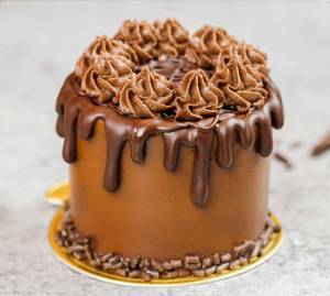 Chocolate Mini Cake (350 gms)