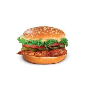 Mexican Grill Burger 