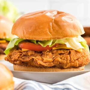 Chicken burger [1]
