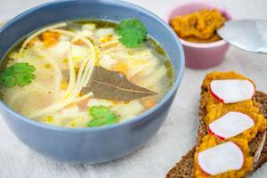 CHICKEN UDON NOODLE DUMPLING SOUP