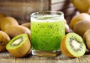 Kiwi Land 
