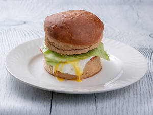 Grill Nutri Egg Fry Burger