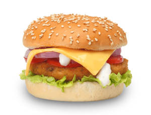 Shawarma Chicken Burger