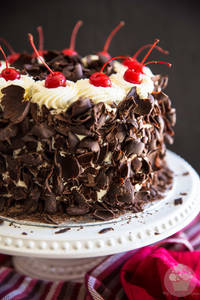 Black Forest Cake (1 Pound)                                              
