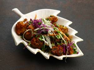 Gobi Manchuriann