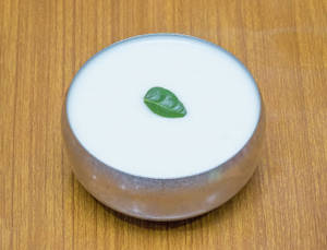 Plain Dahi