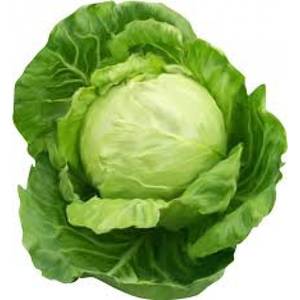 Cabbage(1 Kg)