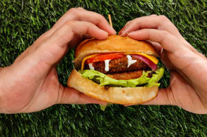Yummy Wheels Special Burgers