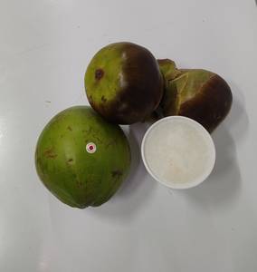 Tender Coconut Nungu (Large).,