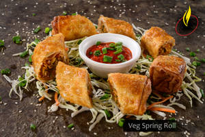 Veg Spring Roll