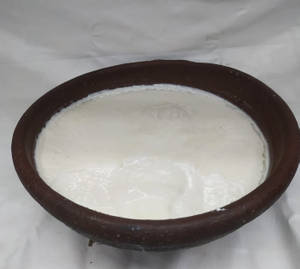 Plain Curd