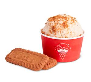 Biscoff Ice Cream
