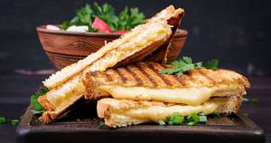Cheese Sandwich