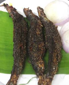 Sardine ( Mathi) Fry