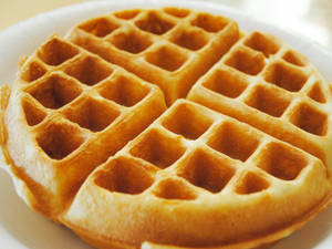 Plain Waffle