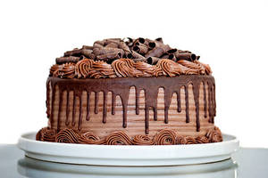 Chocolate Freshcream Cake Round (350 gms)
